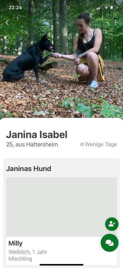 Australian Cattle Dog-Beitrag-Bild