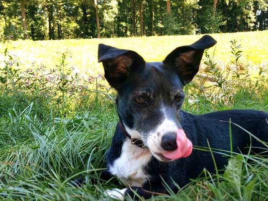 Handyfoto challenge Nr. 13: Waschlappen raus!-Beitrag-Bild