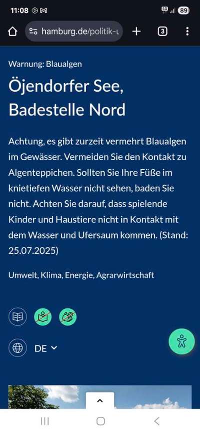 Giftköder-Blaualgen im See-Bild