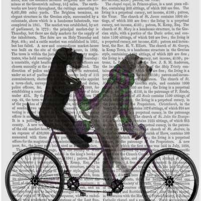 Hundetreffen-Spiel- und Gassirunde Steinfeld/Schaidt/ Bad Bergzabern/ Umgebung-Bild