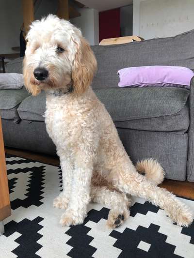 Richtiges Sitzen-Beitrag-Bild