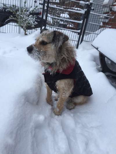 Pullis, Jacken, Hütte und alles sonstiges-Beitrag-Bild