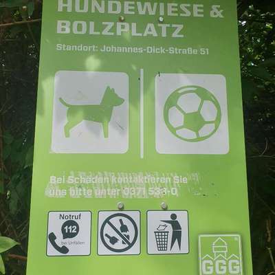 Hundeauslaufgebiet-Umzäunte Hundewiese-Bild
