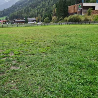 Hundeauslaufgebiet-Hundeplatz Neustift-Bild