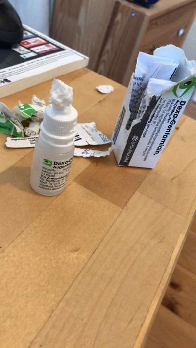 Geschreddert!-Beitrag-Bild