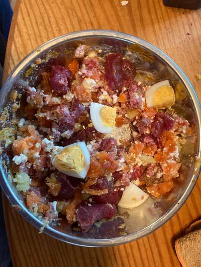 Zeigt her Eure Futternäpfe-Beitrag-Bild