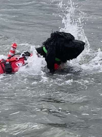 Schwimmen lernen-Beitrag-Bild