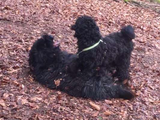 Fotochallenge 88-Beitrag-Bild