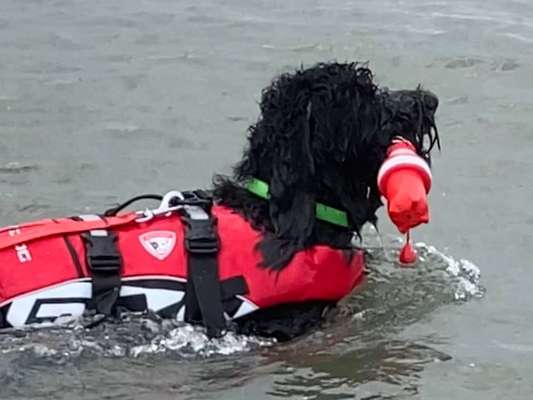 Fotochallenge Nr. 64-Beitrag-Bild