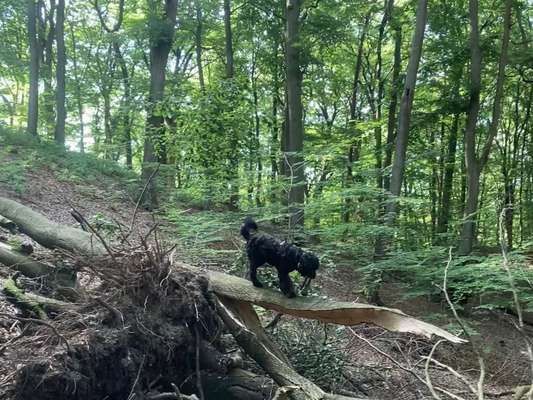 Fotochallenge Nr 107-Beitrag-Bild