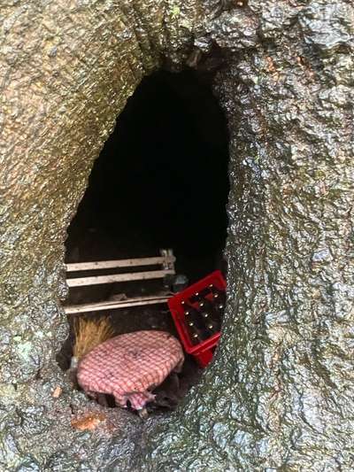 Freddys Kummerkasten-Beitrag-Bild