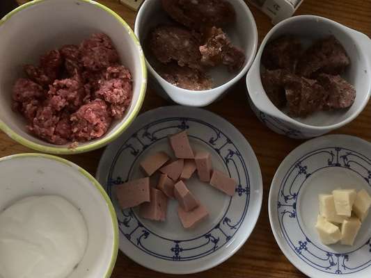 Reisegefährt*innen bei Schnauzberts Winterreise-Beitrag-Bild