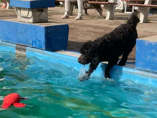 Freddys Kummerkasten-Beitrag-Bild