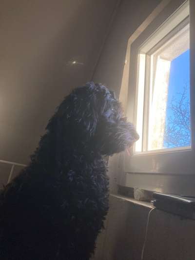 120. Fotochallenge-Beitrag-Bild