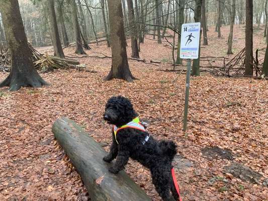 Foto Challenge Nr. 79-Beitrag-Bild