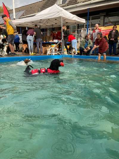 Freddys Kummerkasten-Beitrag-Bild