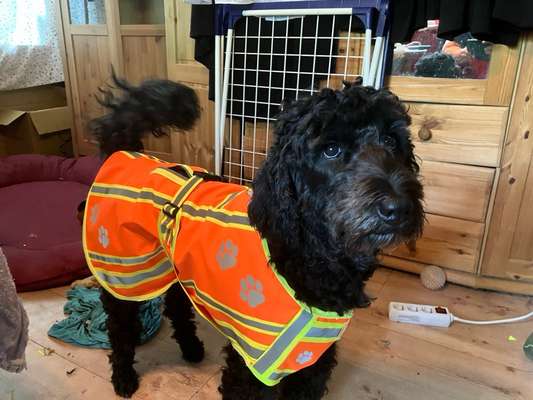 Freddys Kummerkasten-Beitrag-Bild