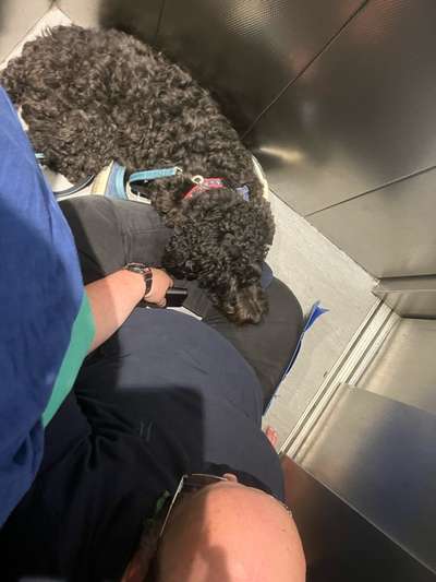 Freddys Kummerkasten-Beitrag-Bild