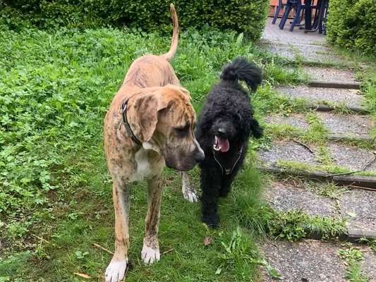 Fotochallenge Nr. 62 Romantische Momente-Beitrag-Bild