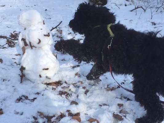 Reisegefährt*innen bei Schnauzberts Winterreise-Beitrag-Bild