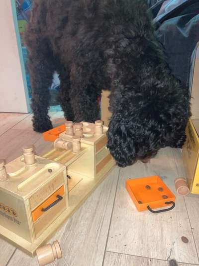 Freddys Kummerkasten-Beitrag-Bild