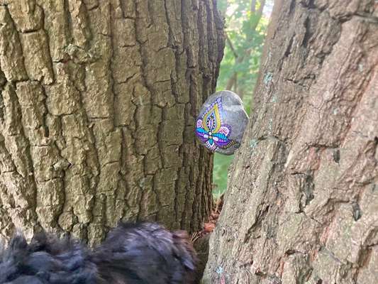 154. FotoChallenge * AUFS BILD GEMOGELT *-Beitrag-Bild