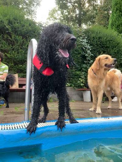 Freddys Kummerkasten-Beitrag-Bild