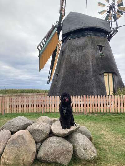 151. Photo Challenge: Sehenswürdigkeiten-Beitrag-Bild