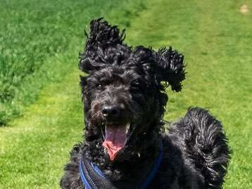 Fotochallenge Nr.122-Beitrag-Bild