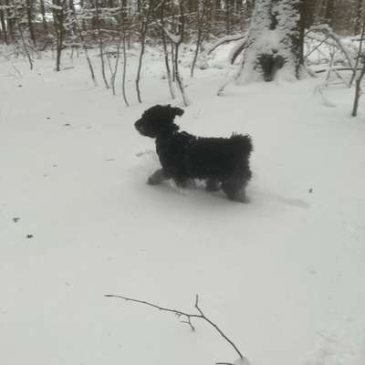 Freddys Kummerkasten-Beitrag-Bild