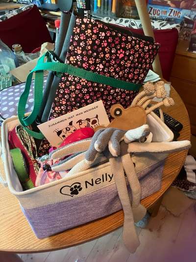 Freddys Kummerkasten-Beitrag-Bild