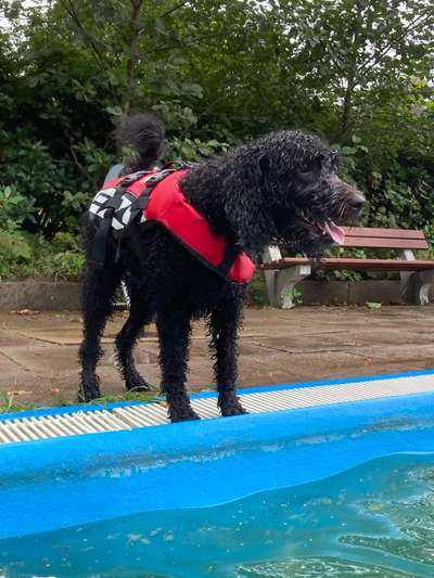 Freddys Kummerkasten-Beitrag-Bild