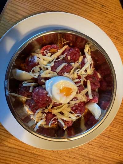 Zeigt her Eure Futternäpfe-Beitrag-Bild