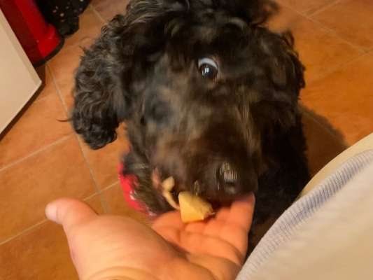 152. Foto Challenge: "Friss mir aus der Hand"-Beitrag-Bild