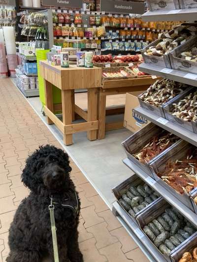 Freddys Kummerkasten-Beitrag-Bild