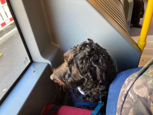 117. Fotochallenge-Beitrag-Bild