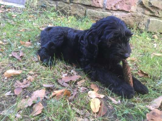 Fotochallenge 129-Beitrag-Bild