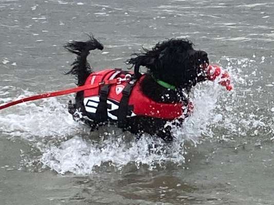 FOTOCHALLANGE NR.71 BADEFREUDE-Beitrag-Bild