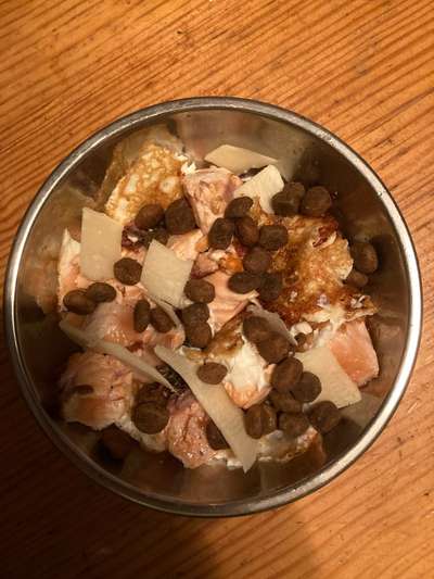 Zeigt her Eure Futternäpfe-Beitrag-Bild