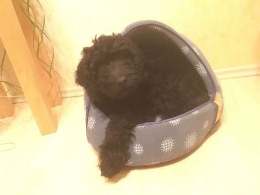 121. Fotochallenge-Beitrag-Bild