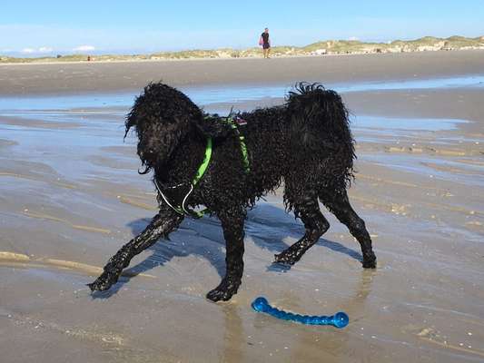 Foto Challenge Nr.133-Beitrag-Bild