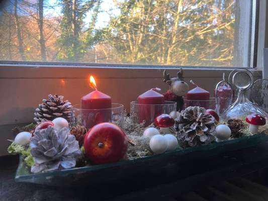 Freddys Kummerkasten-Beitrag-Bild