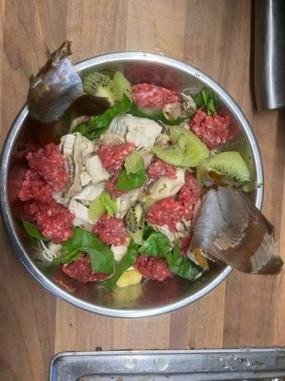 Freddys Kummerkasten-Beitrag-Bild