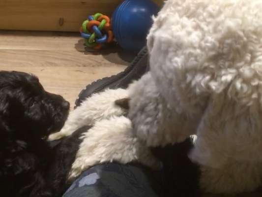 Foto Challenge 82-Beitrag-Bild