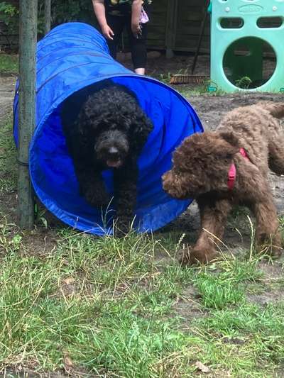 Freddys Kummerkasten-Beitrag-Bild