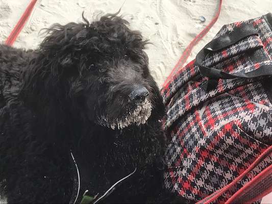 Fotochallenge Nr. 67: Euer Lieblingsbild-Beitrag-Bild