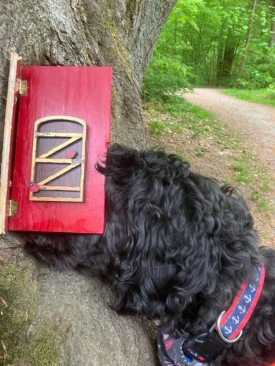 Freddys Kummerkasten-Beitrag-Bild