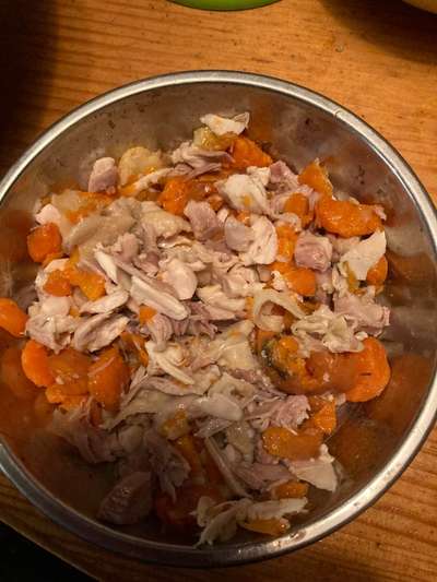 Zeigt her Eure Futternäpfe-Beitrag-Bild