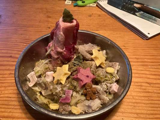 Zeigt her Eure Futternäpfe-Beitrag-Bild