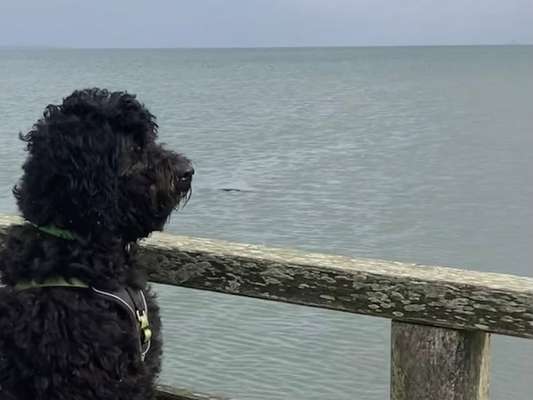 FOTOCHALLENGE 86-Beitrag-Bild